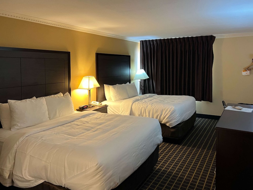 MainStay Suites Ozona I 10 - photo 9