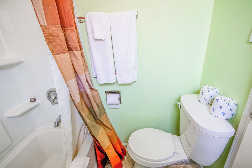 OYO Travelier Motel - photo 66