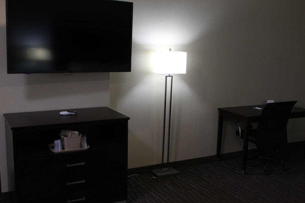 Horizon Inn & Suites Pearsall - photo 20