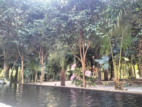 Oasis Ponte san lázaro in Santiago De Compostela, Spain