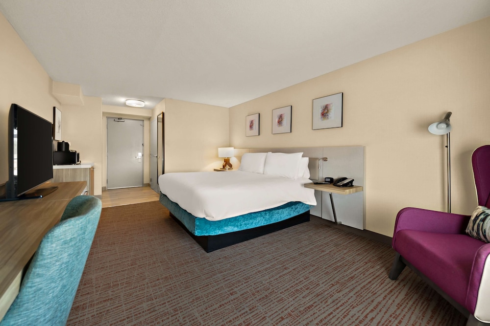 Hilton Garden Inn Williamsburg - photo 14