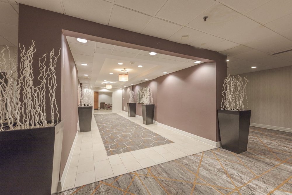 Holiday Inn Austin Midtown by IHG - photo 58