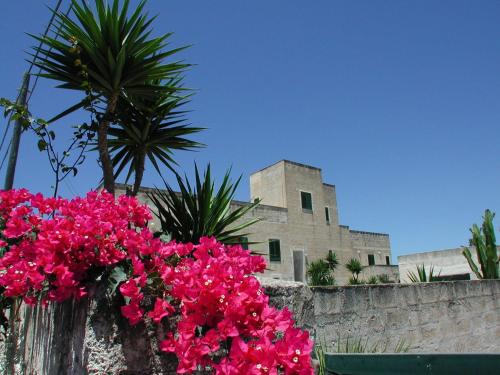 Casale Due Palme in Favignana, Italy