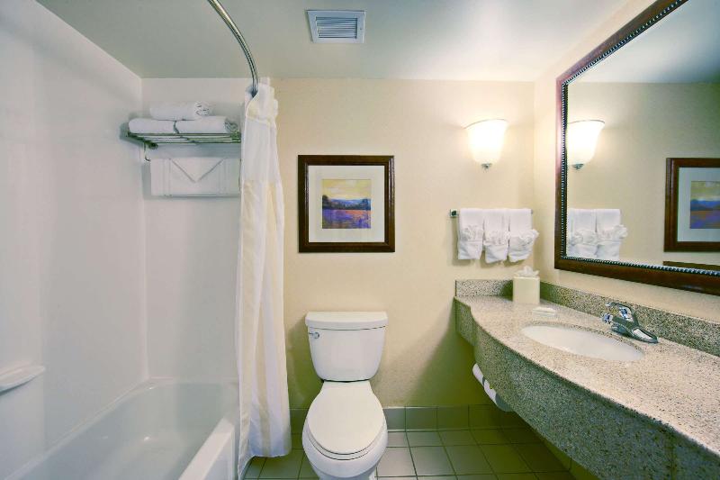 Hilton Garden Inn Springfield IL. - photo 93