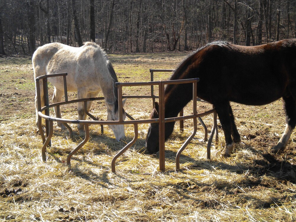 Country Hideaway at Mountain Lakes - photo 37
