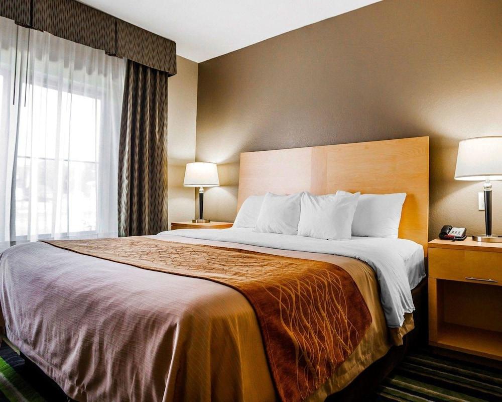 Comfort Inn Kansas City Airport - photo 8