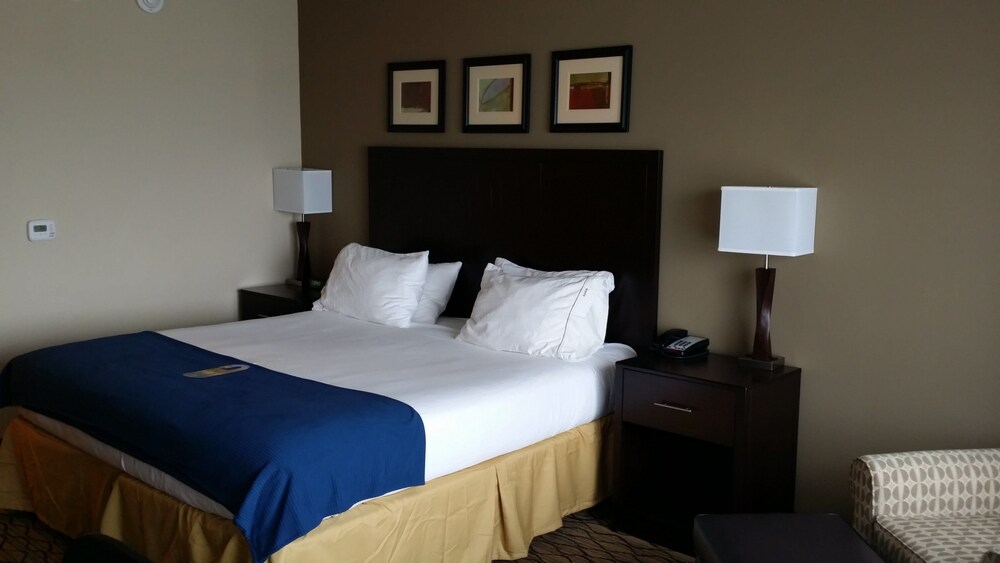 Holiday Inn Express Hotel & Suites Deming Mimbres Valley an IHG Hotel - photo 4