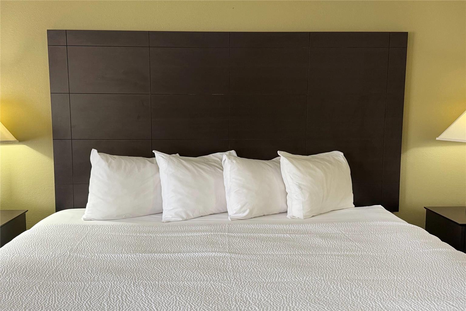 Baymont by Wyndham Evansville North Haubstadt - photo 4