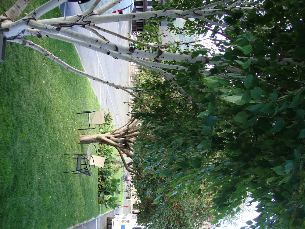 Silver Spruce Inn - photo 40