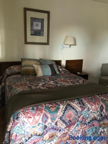 Sheffler's Motel - photo 45
