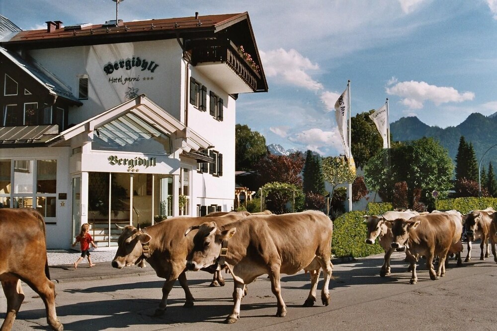 Bergidyll - last minute hotel in Oberstdorf