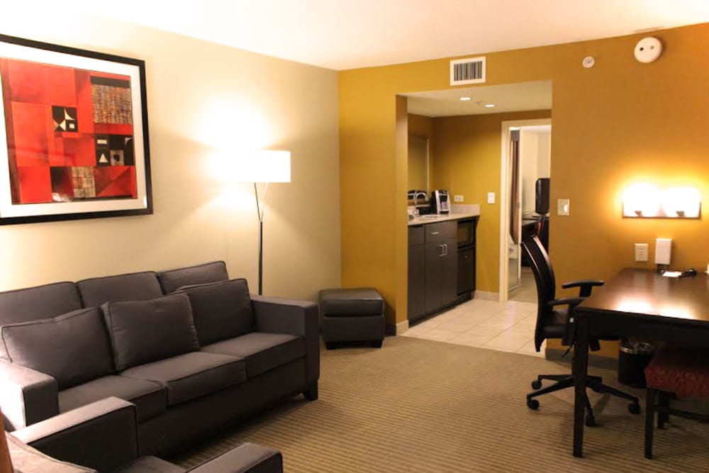 Embassy Suites by Hilton Laredo - photo 9