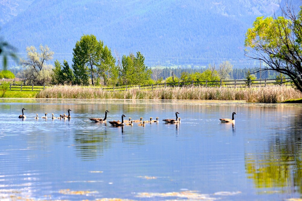 Ninepipes Lodge - photo 41