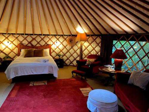 Nikau Sanctuary in Raglan, New Zealand