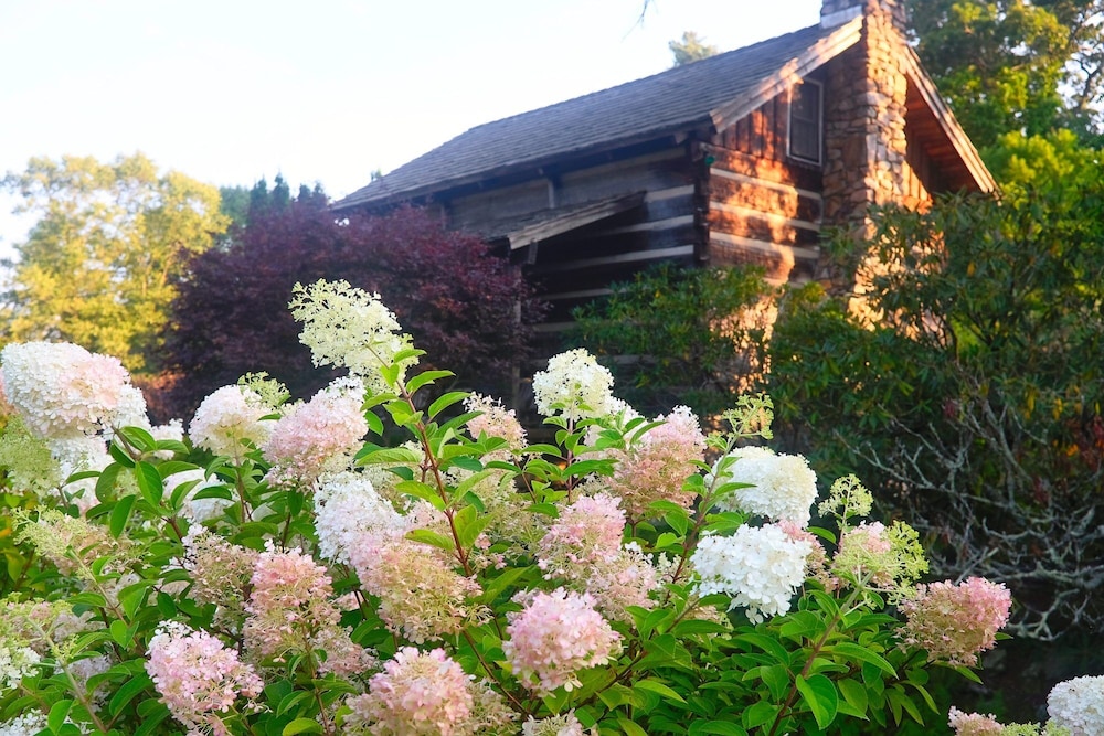 Azalea Garden Inn - photo 48