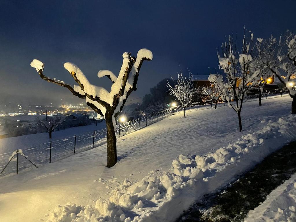 L'Armonia della natura paluvacanze — 4-Star Luxury Hotel in Aosta, Italy
