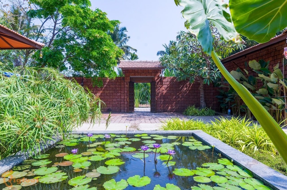 Jomo Resort in Alibag, India