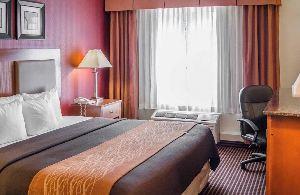 Hotel Hanna - photo 8