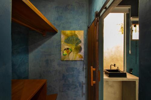 Sungazer in Porto Seguro, Brasil