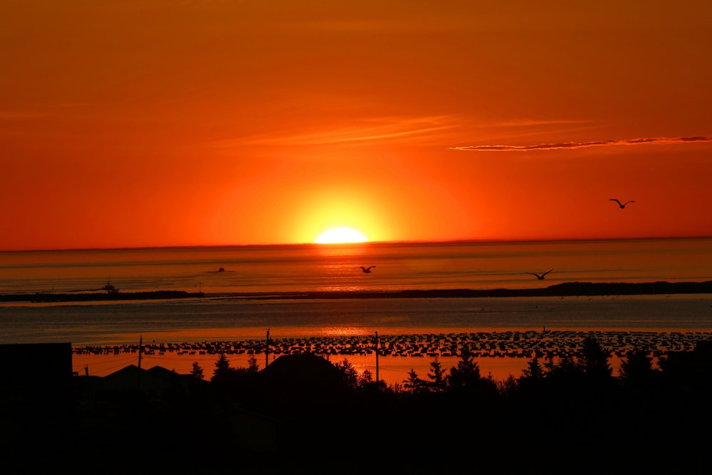 Blue Crest Cottages in Charlottetown, Canada