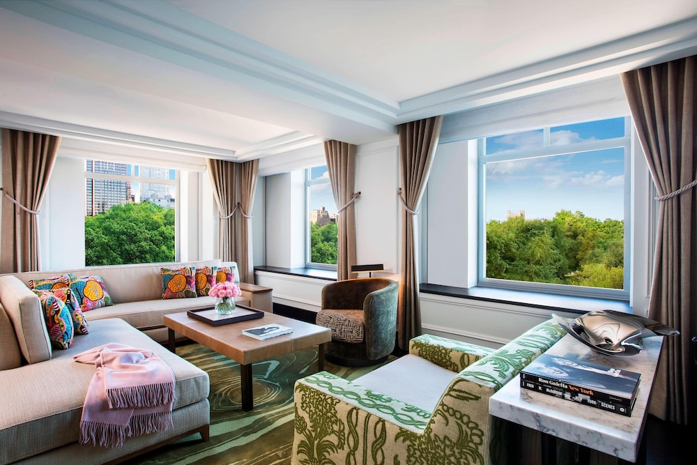 The Ritz Carlton New York Central Park - photo 51