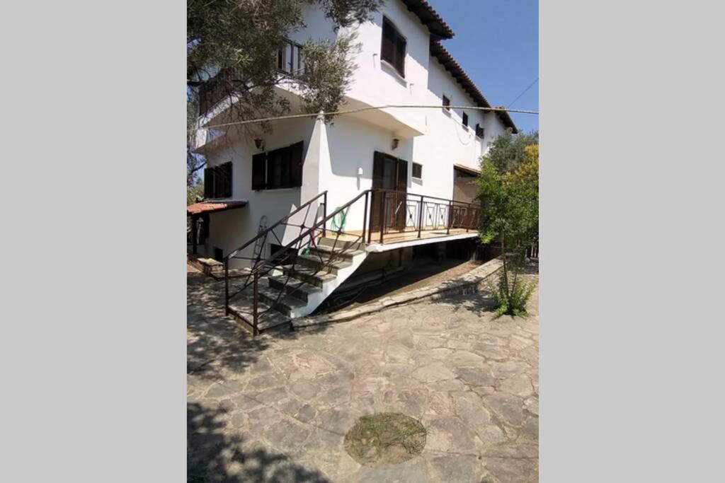 Nefolia - carbon neutral hotel in Unknown City