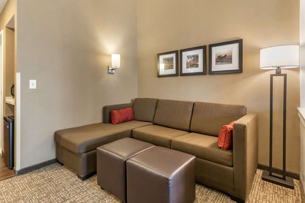 Comfort Suites Manheim Lancaster - photo 7