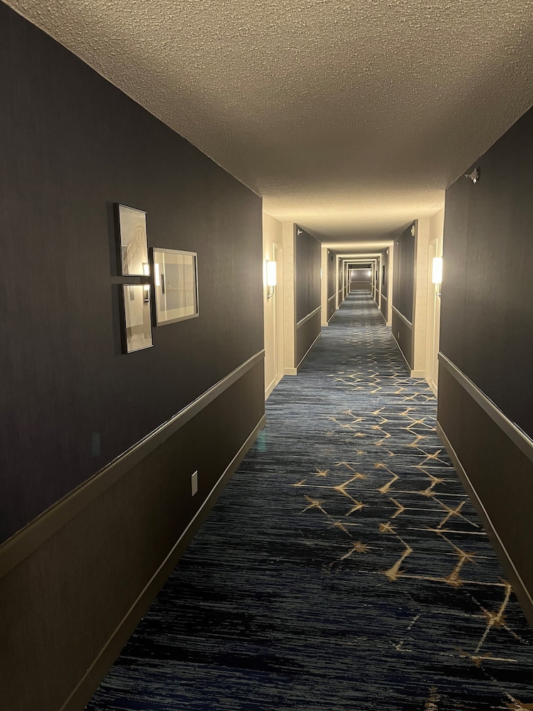 DoubleTree By Hilton Baltimore North Pikesville - photo 72