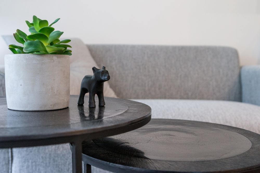 Airy 1BR in Plateau by Sonder in Montreal, Canada