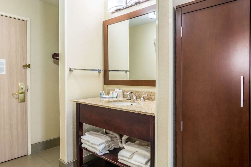 Comfort Inn & Suites Hannibal - photo 19