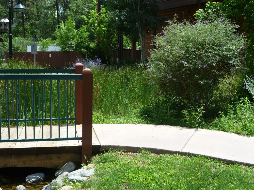 Ruidoso River Resort & Inn - photo 66