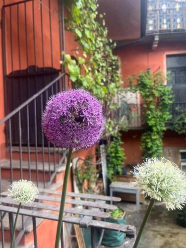 Come a casa — 4-Star Luxury Hotel in Castelletto Sopra Ticino, Italy