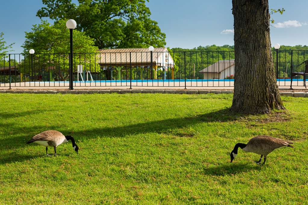 Branson Yacht Club - photo 25