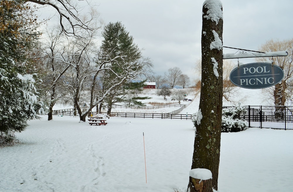 Maple Terrace Motel - photo 107
