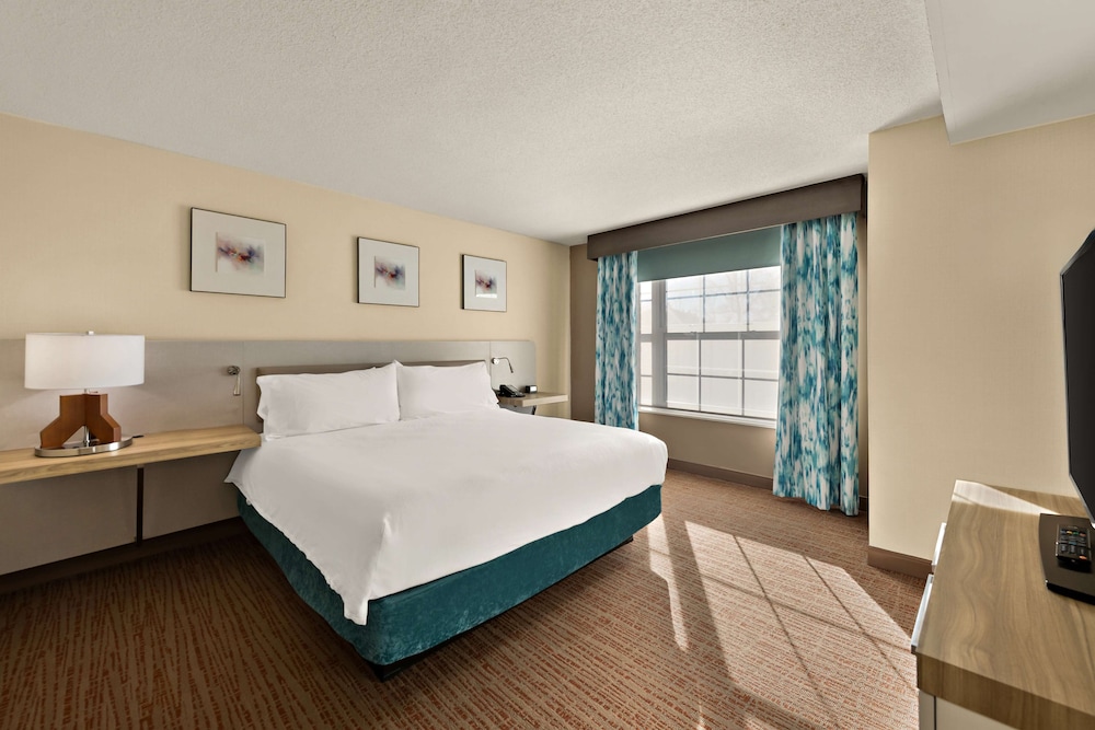 Hilton Garden Inn Williamsburg - photo 9