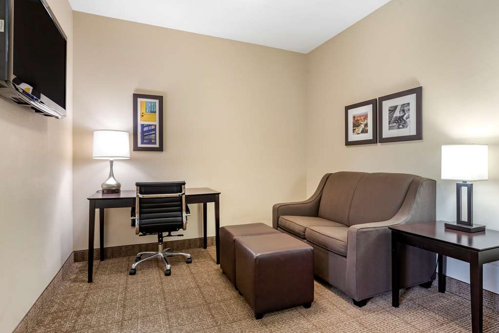 Comfort Inn & Suites Scott West Lafayette - photo 18