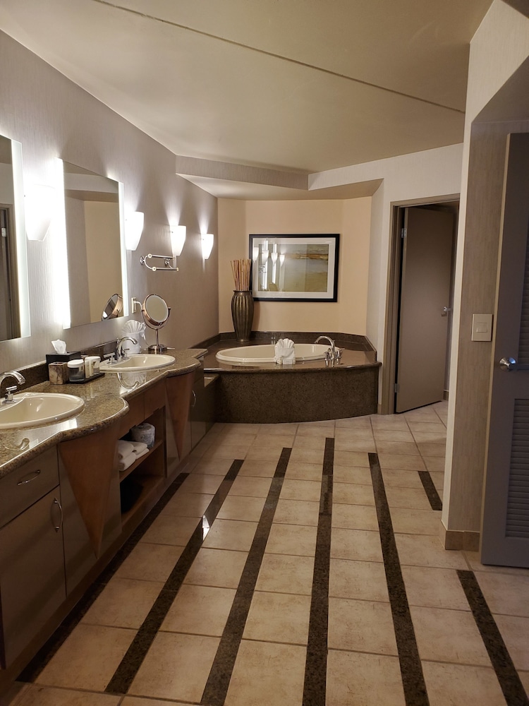 Embassy Suites by Hilton Phoenix Scottsdale - photo 28