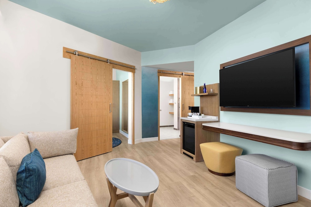 The Hiatus Clearwater Beach Curio Collection By Hilton - photo 35