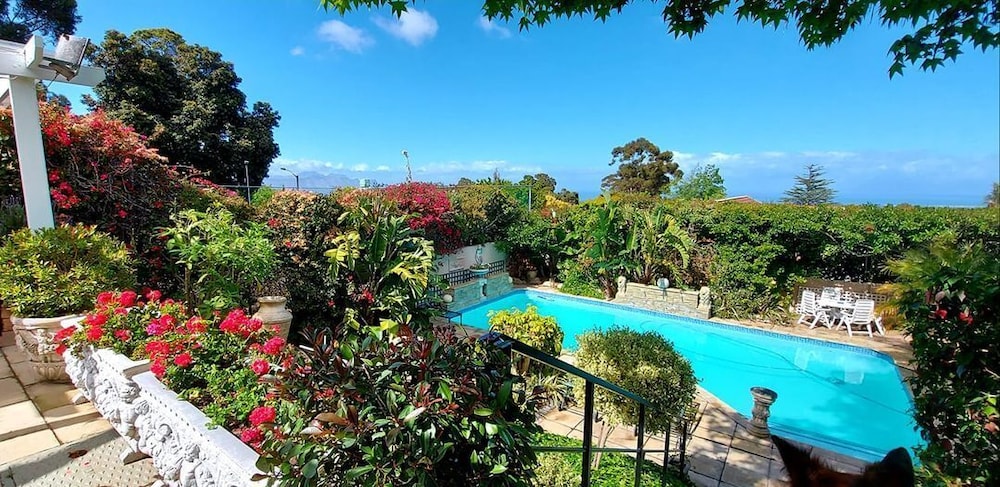 Roosboom Luxury Apartments — 4-Star Luxury Hotel in Cape Town, South Africa