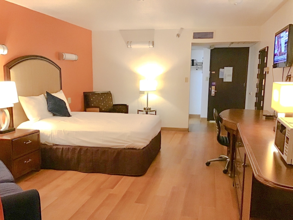 7 Boutique Hotel - photo 6