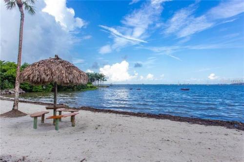 Private Beach Access 2 Pools Waterfront Oasis in St. Petersburg, United States