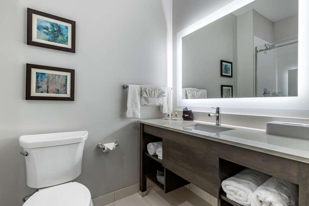 Comfort Suites Greenville Airport - photo 11