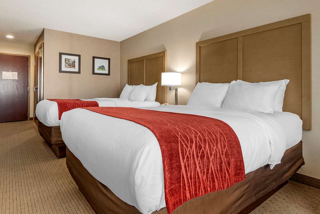 Comfort Inn & Suites Farmington Victor - photo 11