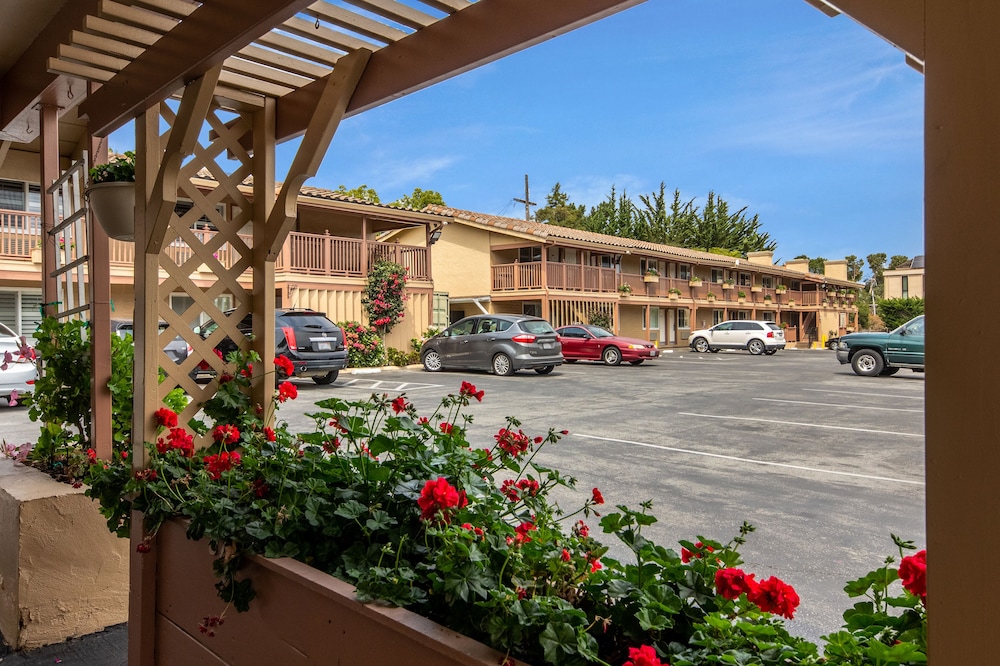 Rodeway Inn near Downtown Monterey - photo 39