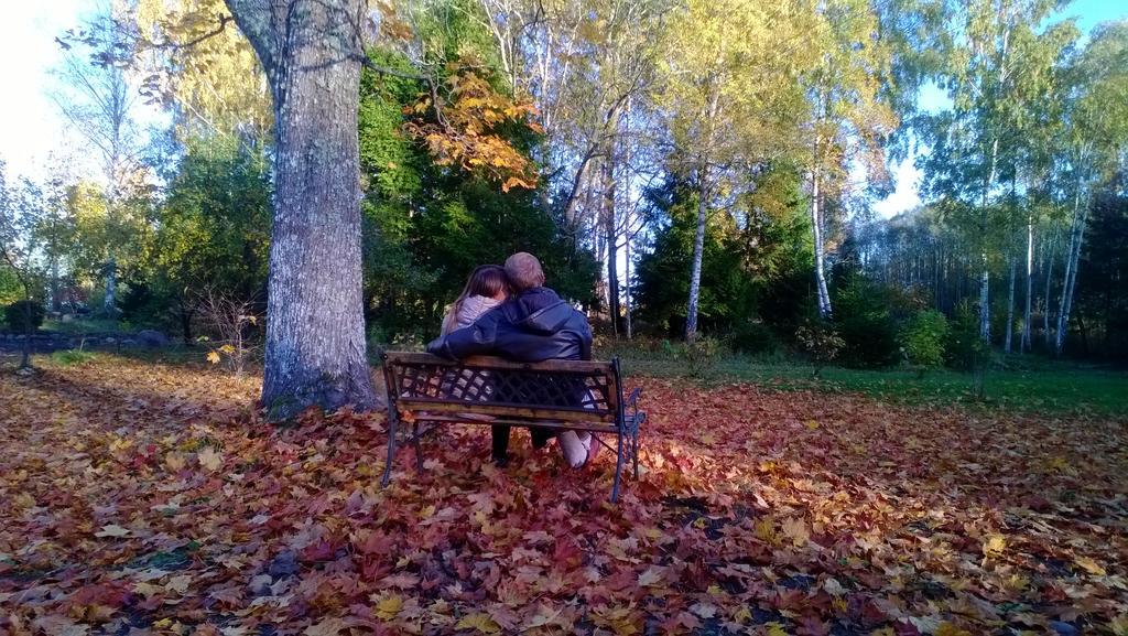 Atpūtas Vieta Raudiņi — Kandava — photo 5