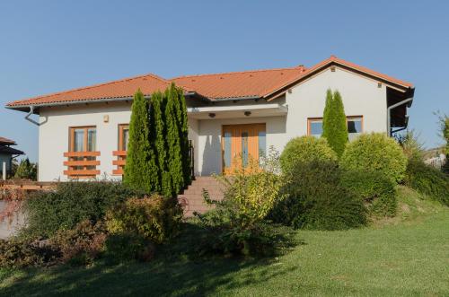 Villa Corvina — Nyul — photo 4