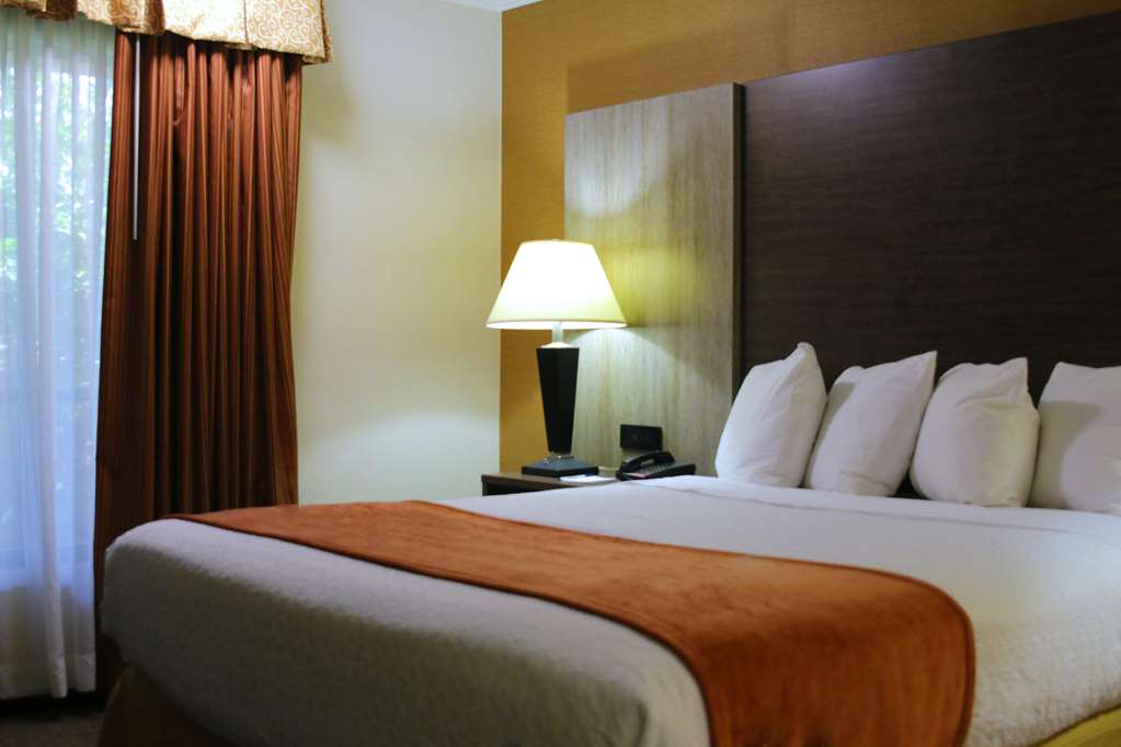 Best Western Galleria Inn & Suites - photo 13