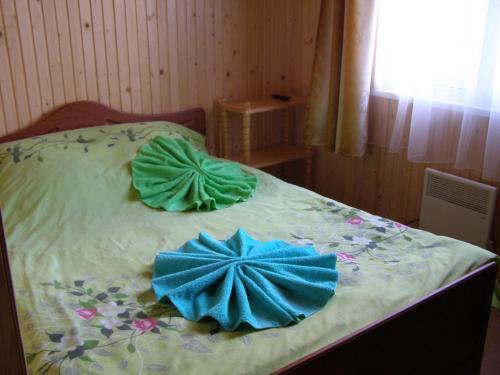 Sadyba Malva — Rakhiv — photo 5