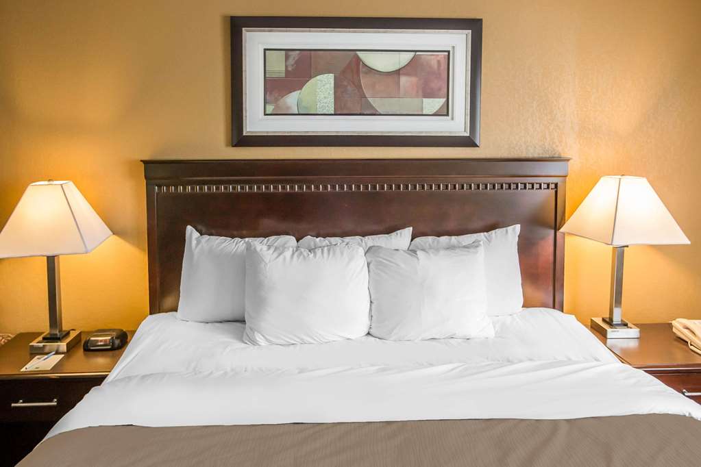 Econo Lodge Inn & Suites Monroe - photo 13