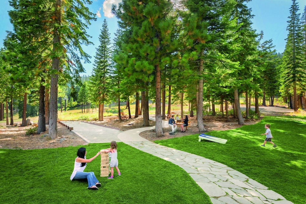 The Ritz Carlton Lake Tahoe - photo 98